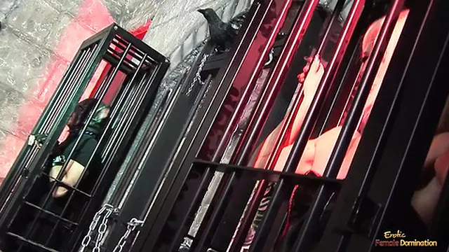 Two thirsty pornstars scream in ecstasy as they′re relentlessly pounded