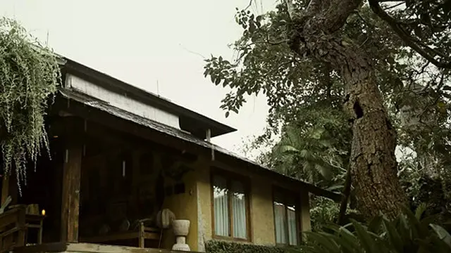 I cum on my milf′s big natural melons from behind while hunk′s at work