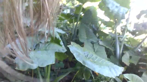 dolphinlover this you/garden intro y missonsavehome is worthy