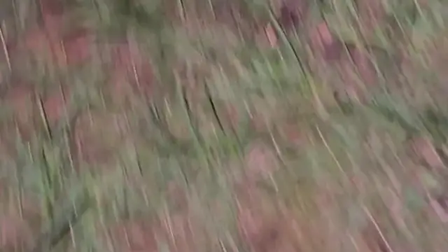  Busty woman urinates outside and narrowly avoids being spotted three times