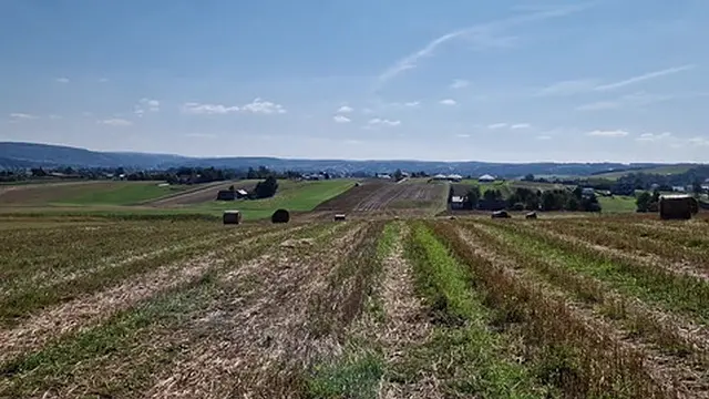 Ja po prostu adoruję seks