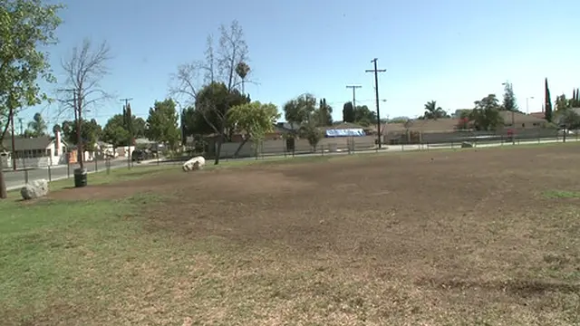 Sexy and slender Latina brunette &mdash;  Amia Miley &mdash;  gets it on with a tattooed Asian man in this hot sex 