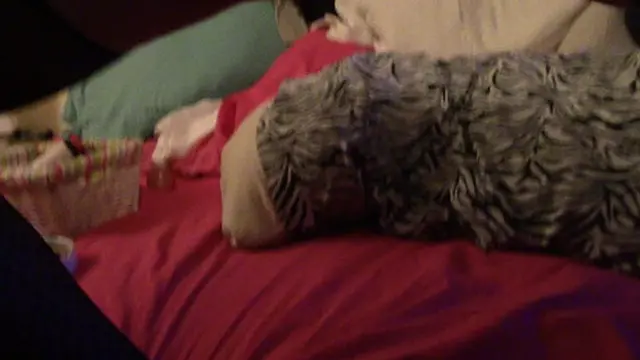 HEIDI BEAVER LOVES HER TOYS 0351