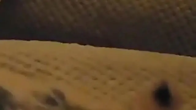 Finger fucking myself ?