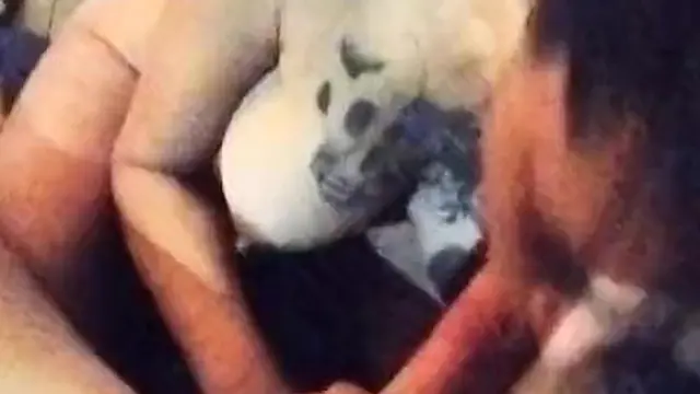 Rico Pete de mi tetona sugarmommy #pete #tetona