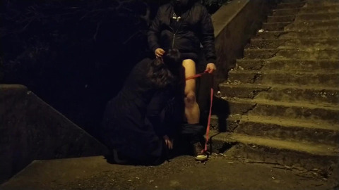 Mother in law sucking boy cock in public on dog leash