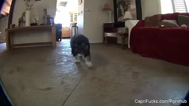 Behind The Scenes with Capri Cavanni - POV blowjobs and more