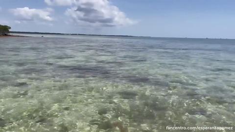 A beach-bound Latina MILF gets mercilessly screwed till she's cum-drained, by the ocean