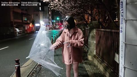 'Sakura Swingers Share Their Slumber Party Secrets Again'
